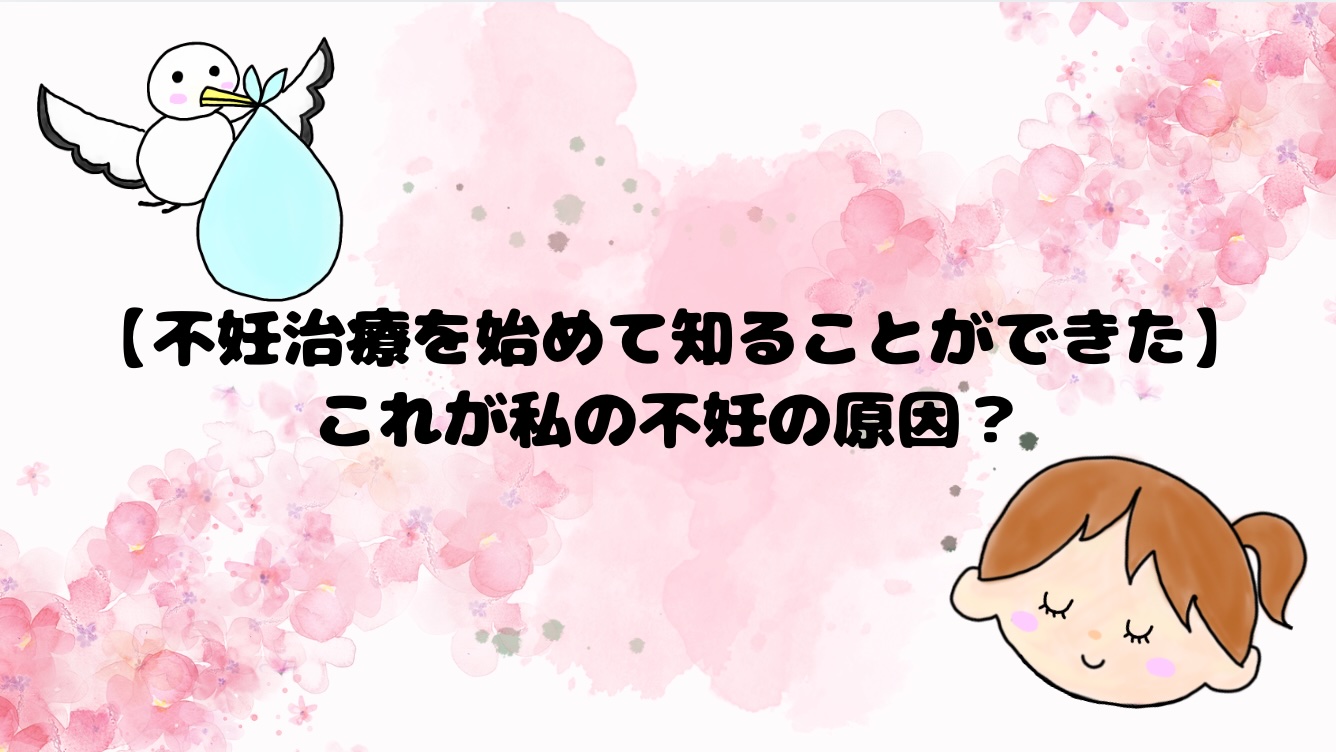 不妊治療を始めて知ることができた。これが私の不妊の原因？