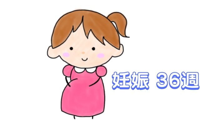 妊娠36週